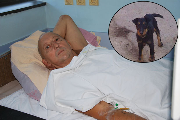 ИЗВУЧЕН ИЗ ПРОВАЛИЈЕ ЗАХВАЉУЈУЋИ ЉУБИМЦУ: Пас Мали ме спасао, па нестао